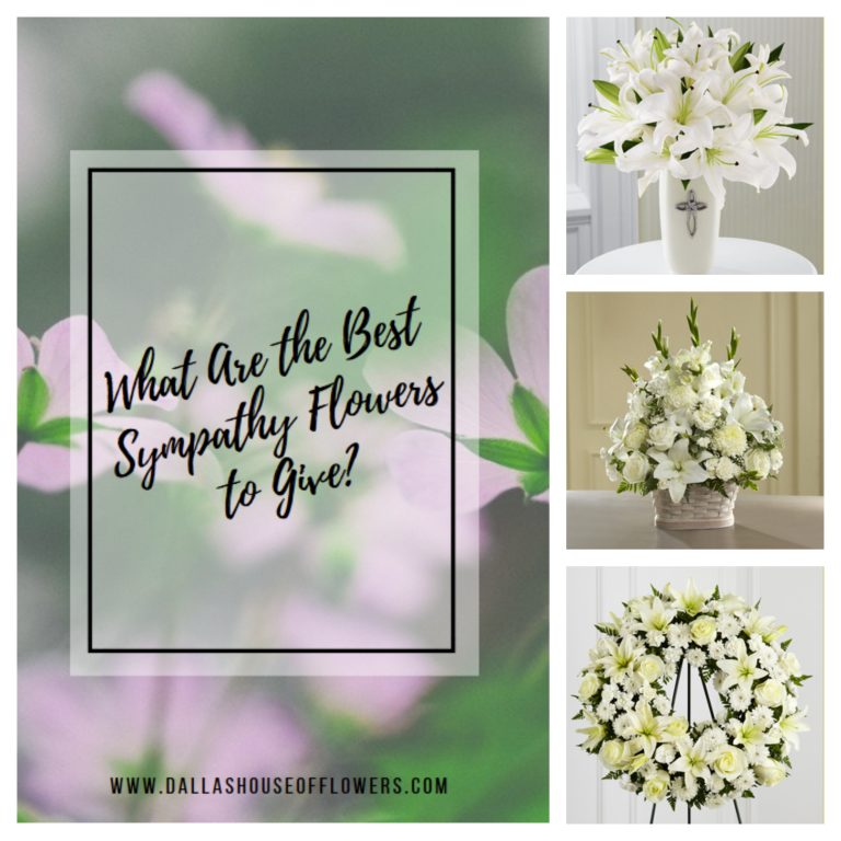 What Are the Best Sympathy Flowers to Give?