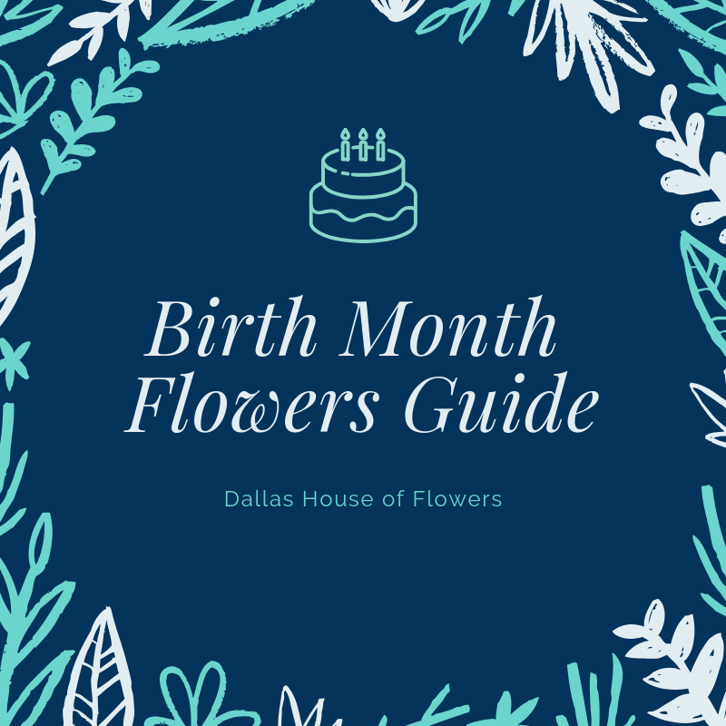 birth-month-flowers-guide