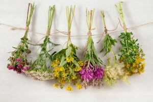 Hanging flowers drying