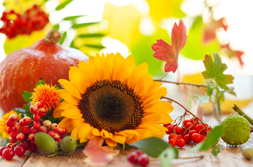 Fall Flower Arrangements